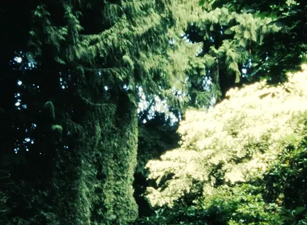 In the Sunken Garden, Brentwood Bay, Canada